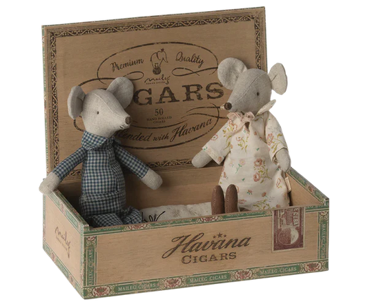 Grandma and Grandpa Mouse in box