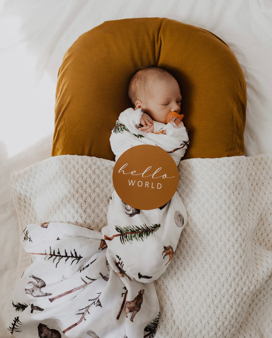 Alpha & Bronze Milestone Cards | Little Bambino Bear