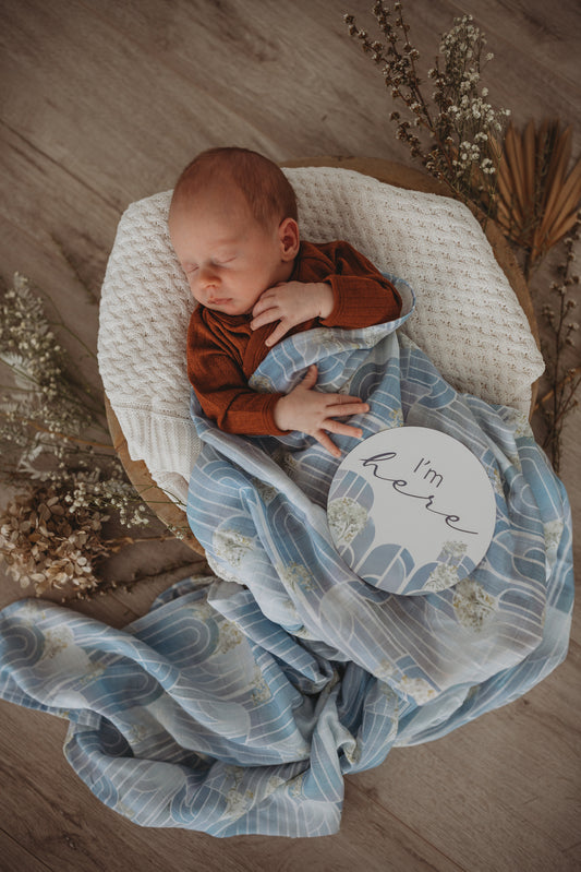 Eventide and Ice Blue Milestone Cards | Snuggle Hunny Kids