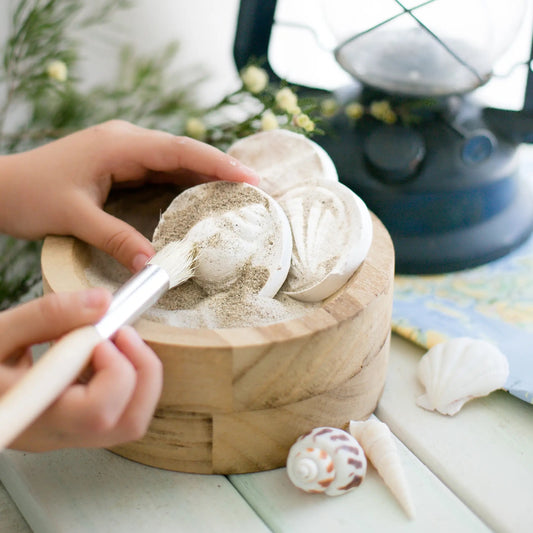 Poppy and Daisy Designs - Fun Fossils Kit