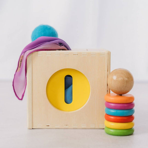 Wooden toy with a circular hole and colorful rings on a white background