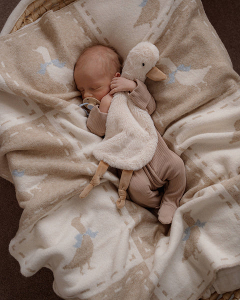 Baby sleeping with a plush toy on a soft blanket