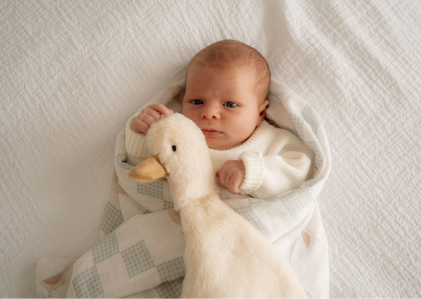 Baby wrapped in a blanket with a plush duck toy on a soft white background