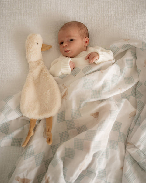 Newborn baby lying on a checkered blanket with a plush duck toy