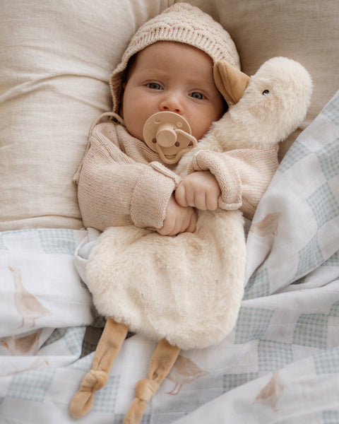 Baby in a cozy setting with a plush toy and pacifier