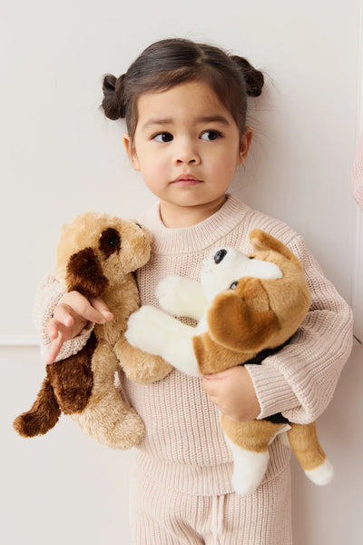 Snuggle Bunnies - Brooklyn The Beagle