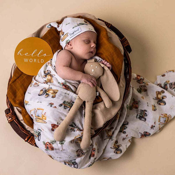 Newborn baby wrapped in a patterned blanket with a toy, wearing a hat, on a beige background with 'hello world' text.