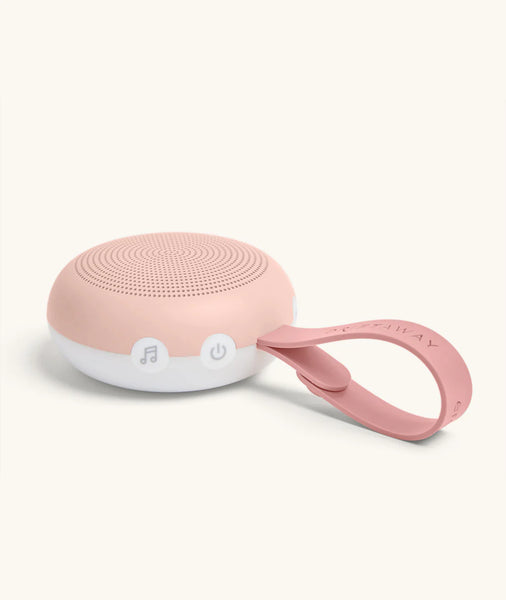 Pink portable speaker with a handle on a white background