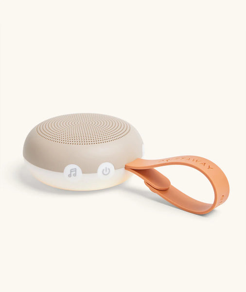 Portable speaker with a handle on a white background