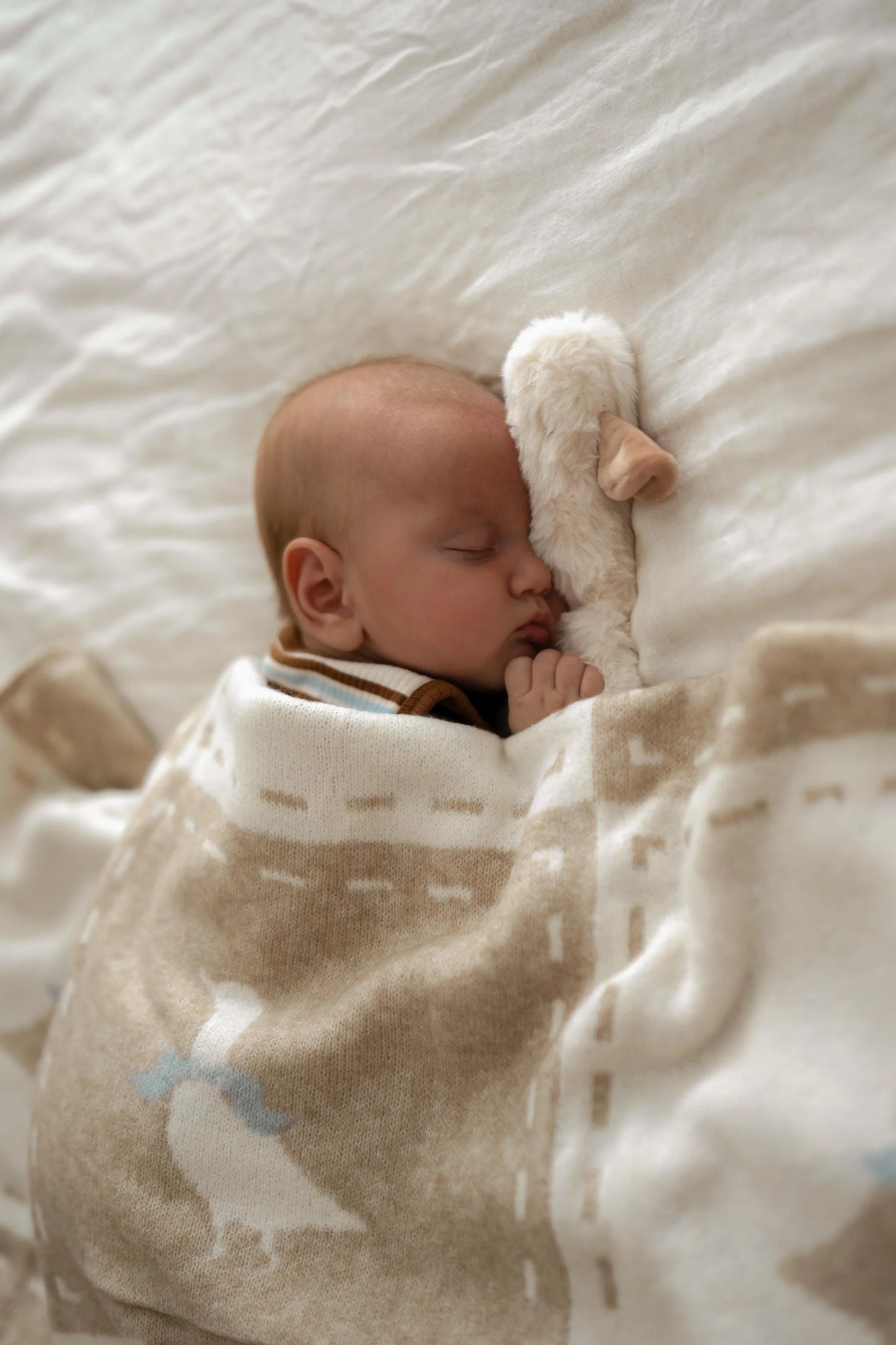 Newborn baby sleeping under a blanket with animal patterns on a white bed.