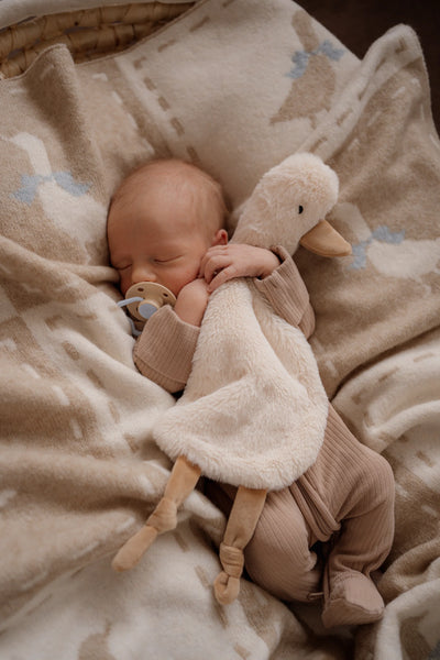 Baby lying on a blanket with a plush duck toy