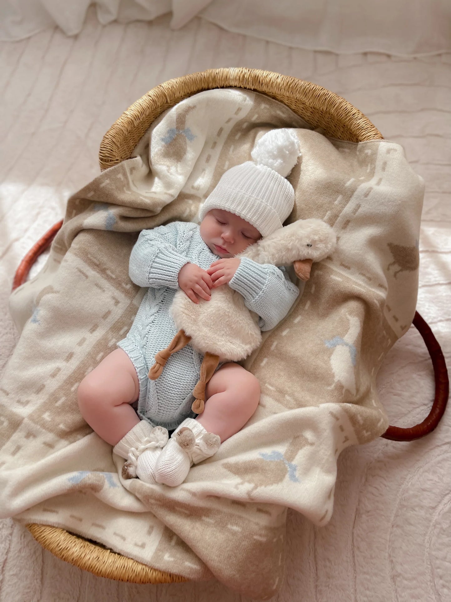 Baby in a basket with a soft blanket and toy