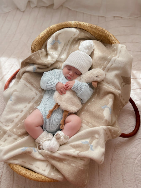 Baby in a basket with a soft blanket and toy