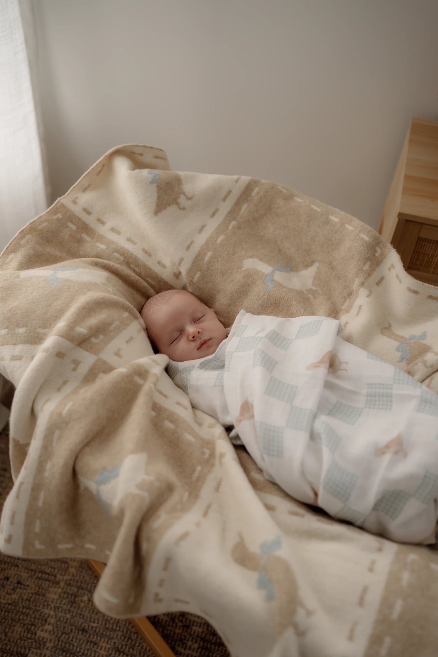 Newborn baby wrapped in a blanket on a soft surface