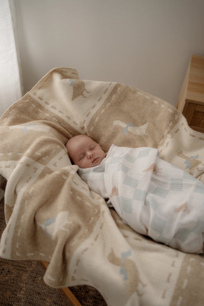 Newborn baby wrapped in a blanket on a soft surface