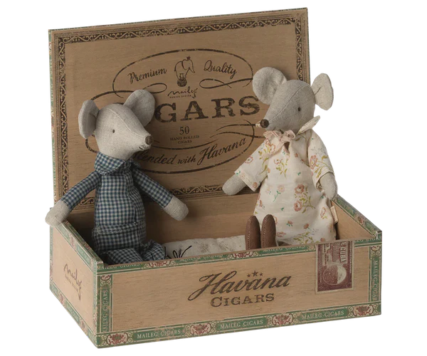 Grandma and Grandpa Mouse in box