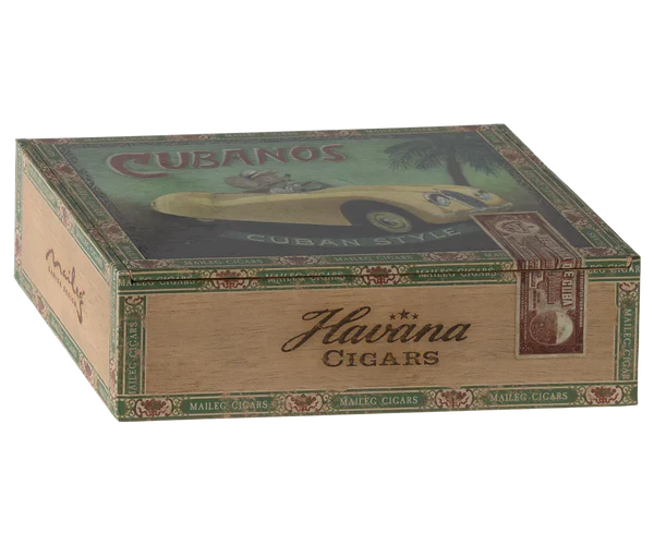 Grandma and Grandpa Mouse in box