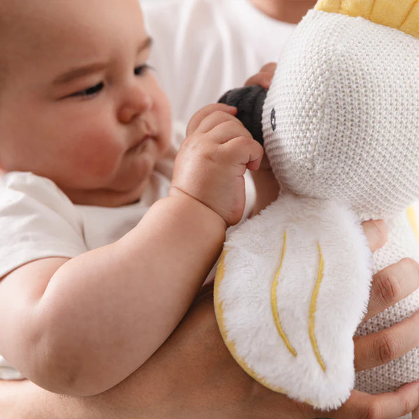 Baby holding a soft toy with a close-up of the toy's face.