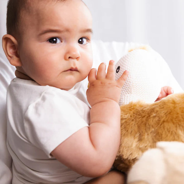 Baby holding a soft toy against a plain background