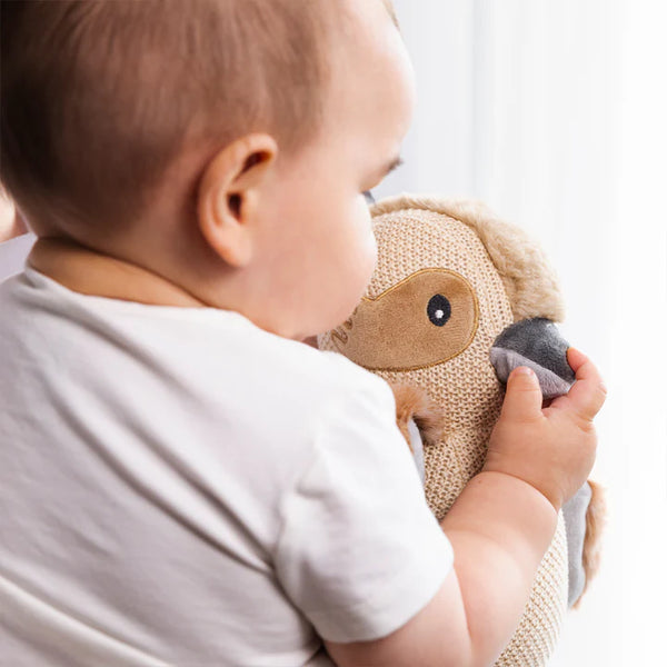 Baby holding a soft toy with a neutral background