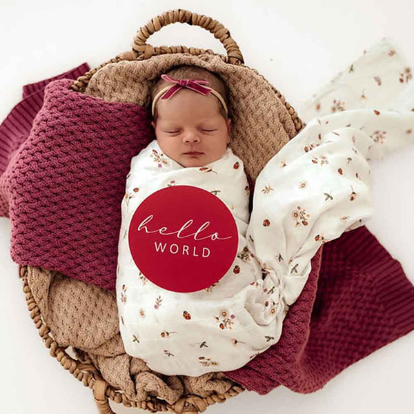 Newborn baby wrapped in a blanket with 'hello world' text, lying on a woven basket.