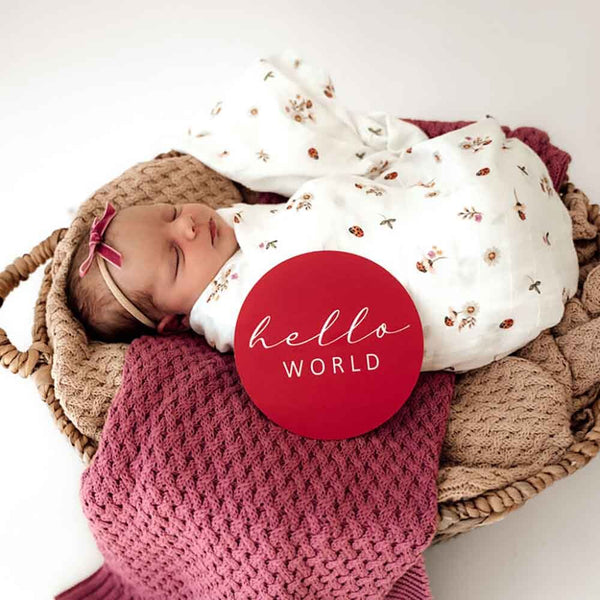 Newborn baby wrapped in a pink blanket with a 'hello world' sign, wearing a white outfit with floral patterns.