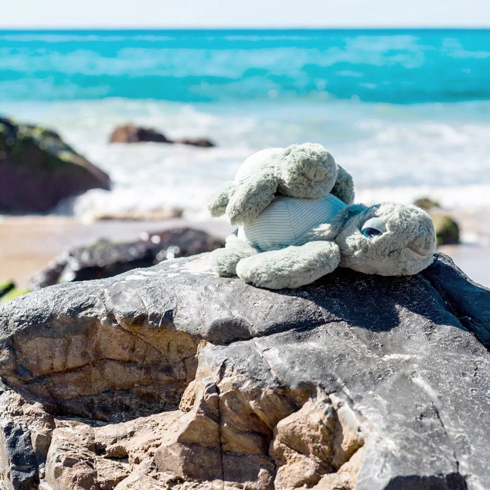 Little Tyler Turtle Soft Toy 7.8" / 20cm - OB Designs