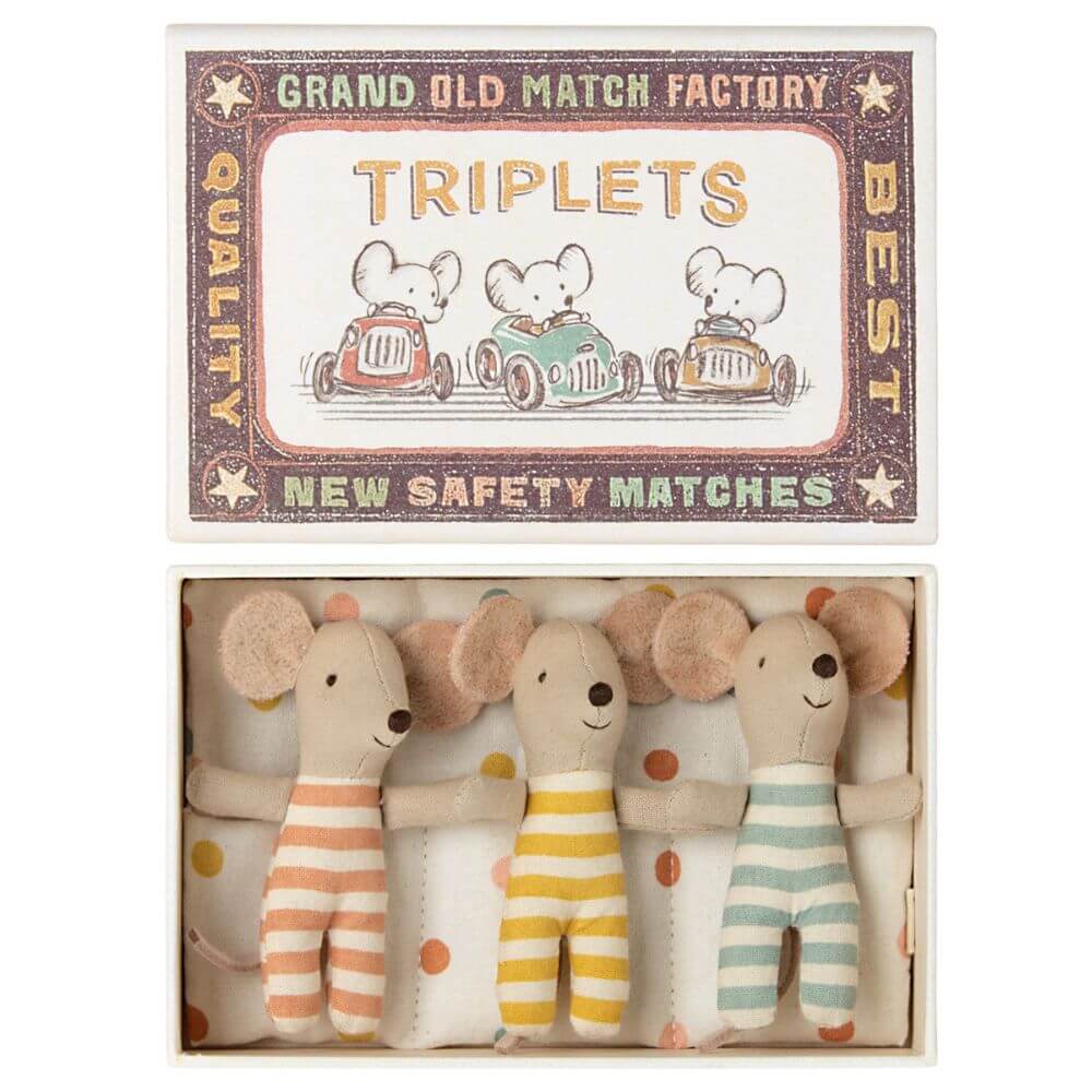Triplets Baby Mice in Box