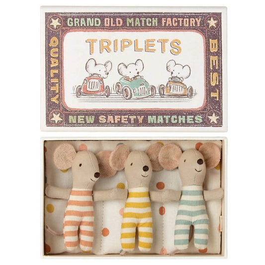 Triplets Baby Mice in Box