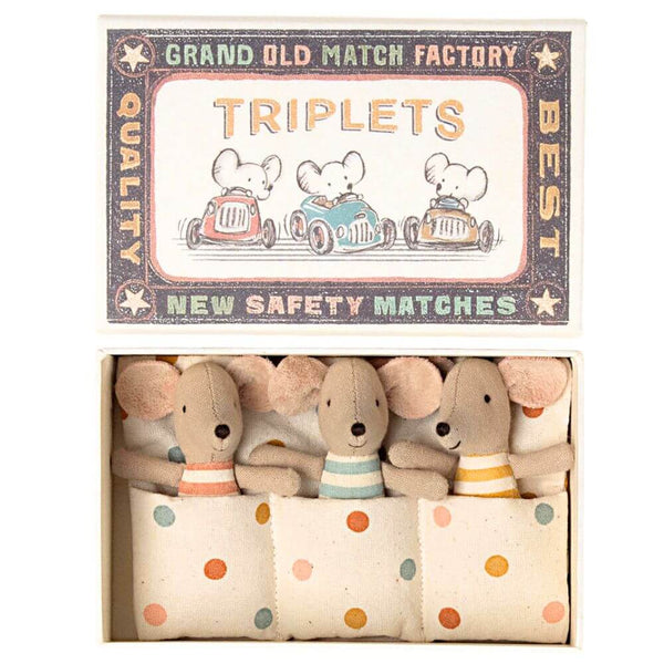 Triplets Baby Mice in Box