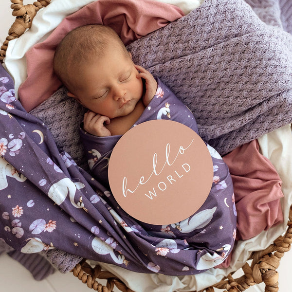 Newborn baby wrapped in a purple blanket with 'hello world' sign, surrounded by soft textures.
