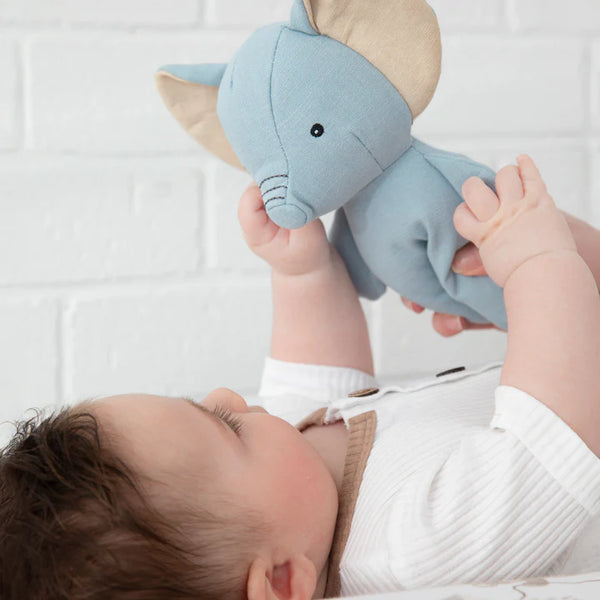 Baby holding a blue elephant plush toy against a white background