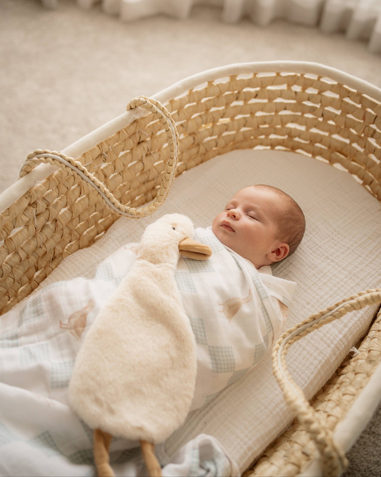 Newborn baby in a crib with a soft toy, surrounded by neutral tones.