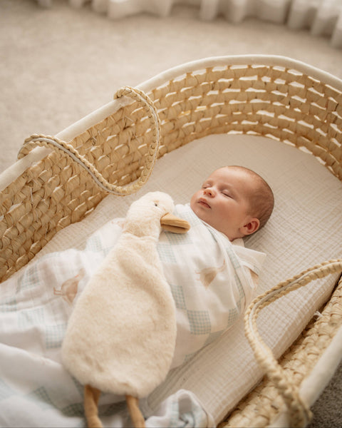 Newborn baby in a crib with a soft toy, surrounded by neutral tones.