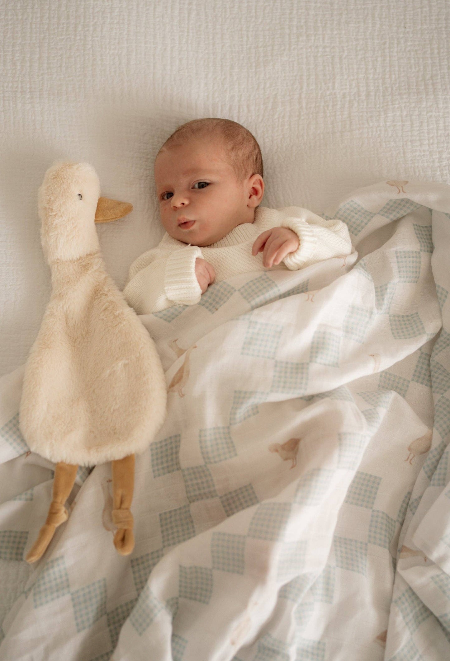Baby wrapped in a blanket next to a plush duck toy on a textured surface