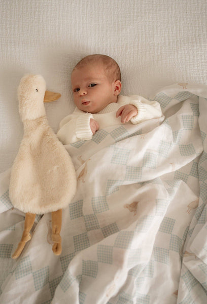Baby wrapped in a blanket next to a plush duck toy on a textured surface