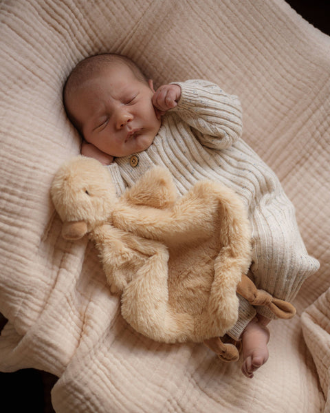 Newborn baby sleeping with a plush toy on a soft surface