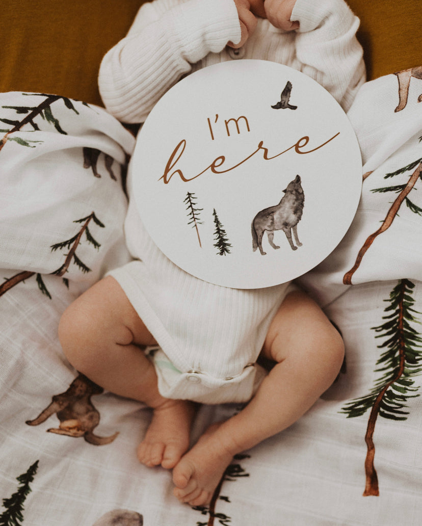 Alpha & Bronze Milestone Cards | Little Bambino Bear