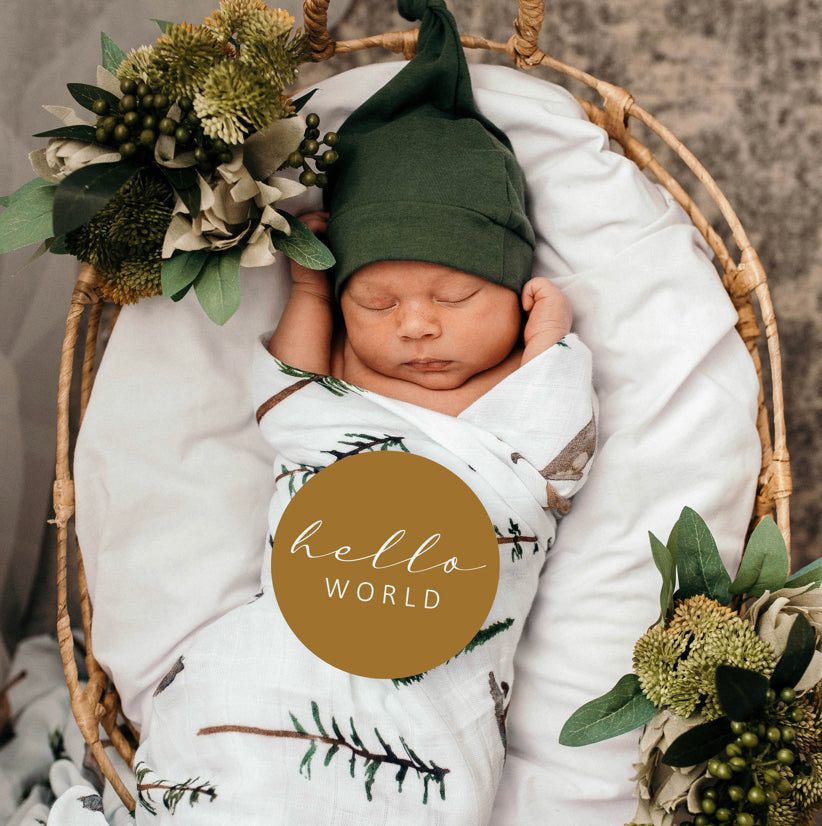 Alpha & Bronze Milestone Cards | Little Bambino Bear
