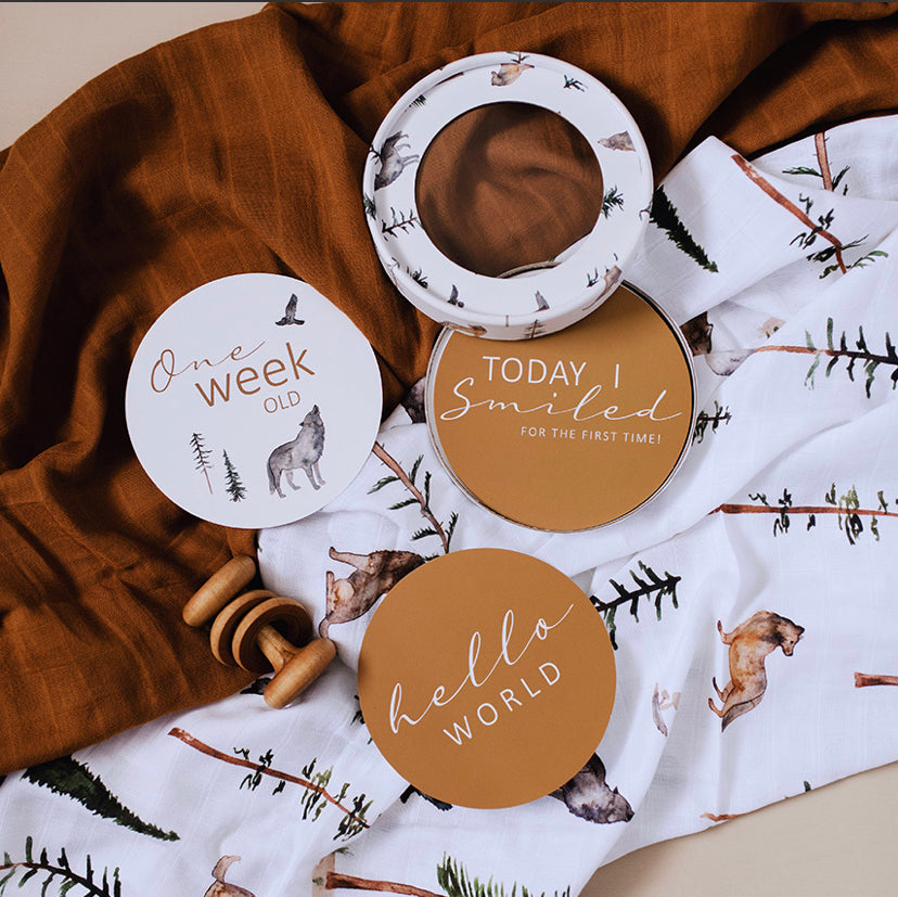 Alpha & Bronze Milestone Cards | Little Bambino Bear