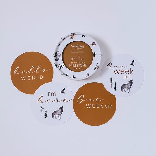 Alpha & Bronze Milestone Cards | Little Bambino Bear