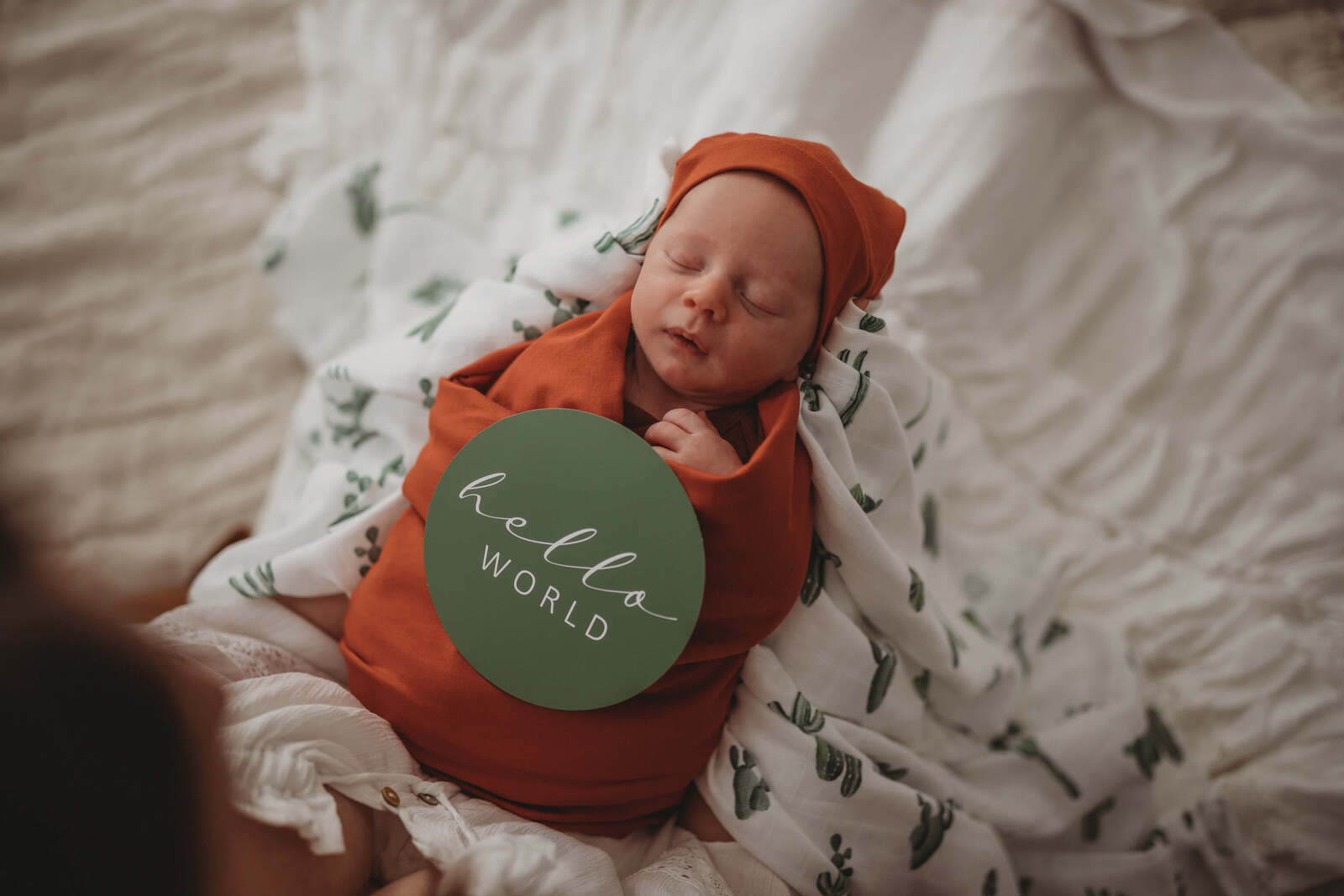Cactus and Leaf Green Milestone Cards | Snuggle Hunny Kids