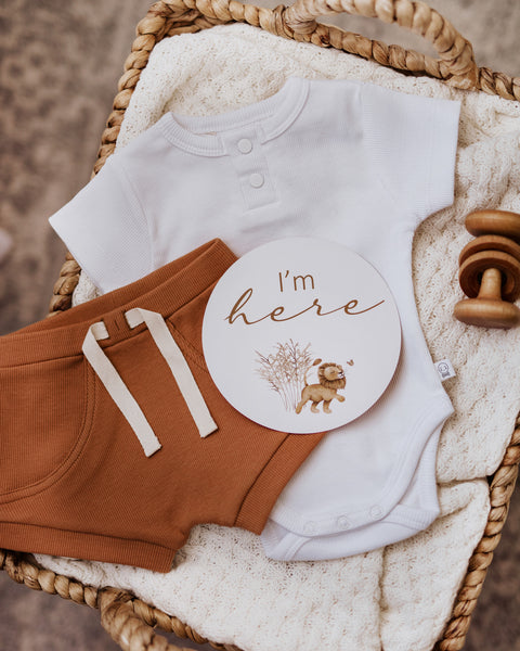 Snuggle Hunny Kids - Lion and Sunrise Reversible Milestone Cards