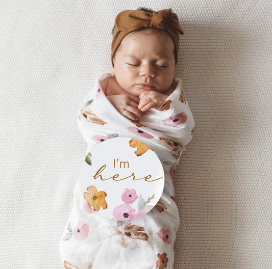 Poppy & Musk Milestone Cards | Little Bambino Bear