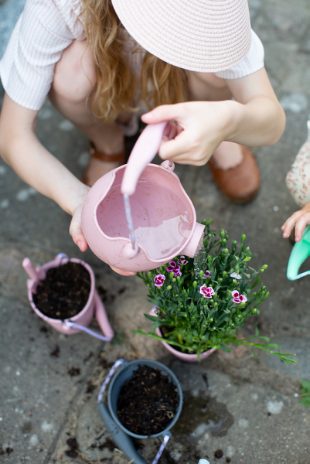 Scrunch Watering Can - Dusty Rose