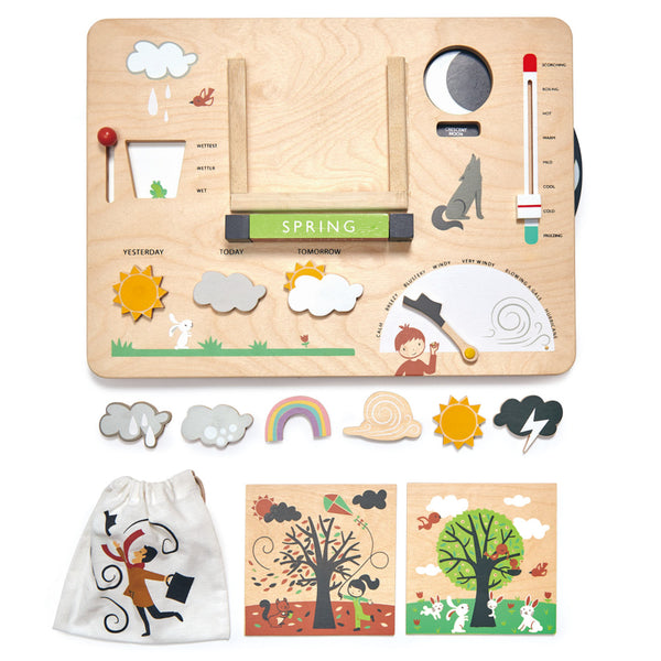 Tender Leaf Toys - Wooden Weather Station