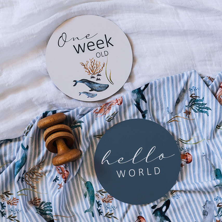 Whale and Azure Reversible Milestone Cards | Snuggle Hunny Kids