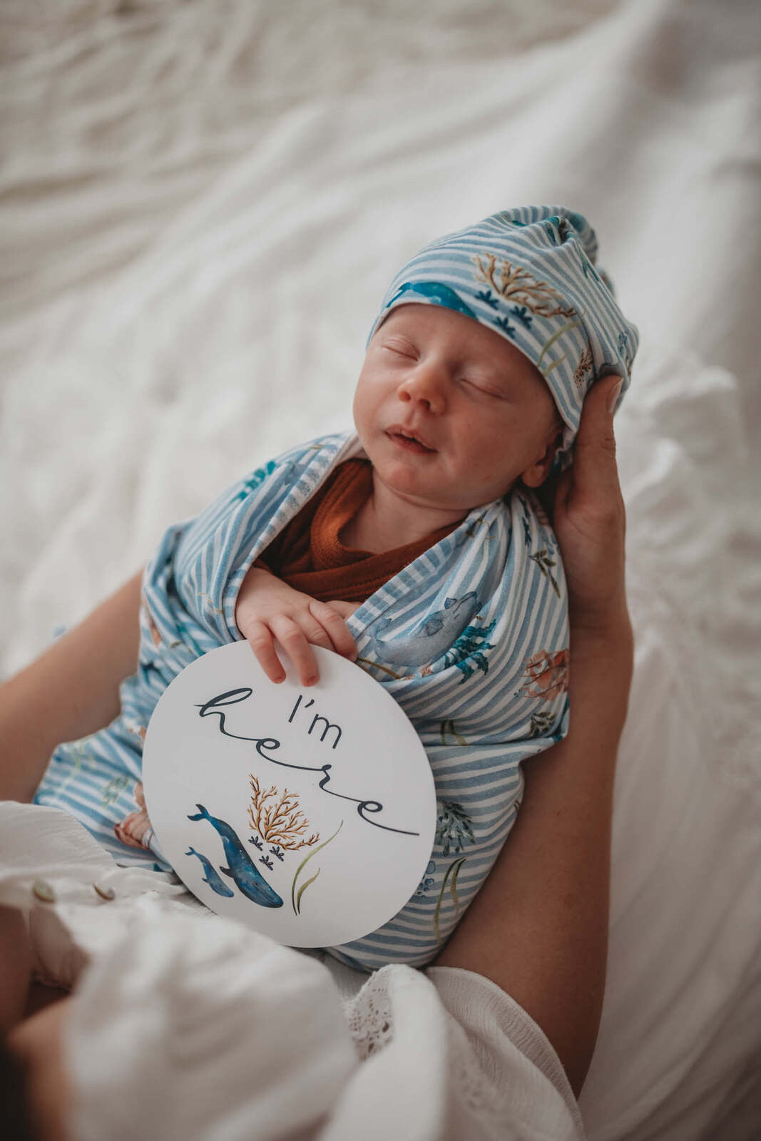 Whale and Azure Reversible Milestone Cards | Snuggle Hunny Kids