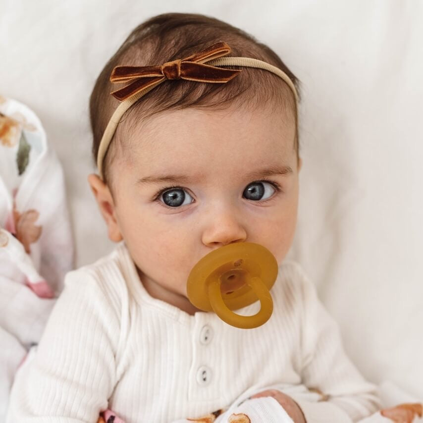 Velvet Bow - Toffee - Little Bambino Bear
